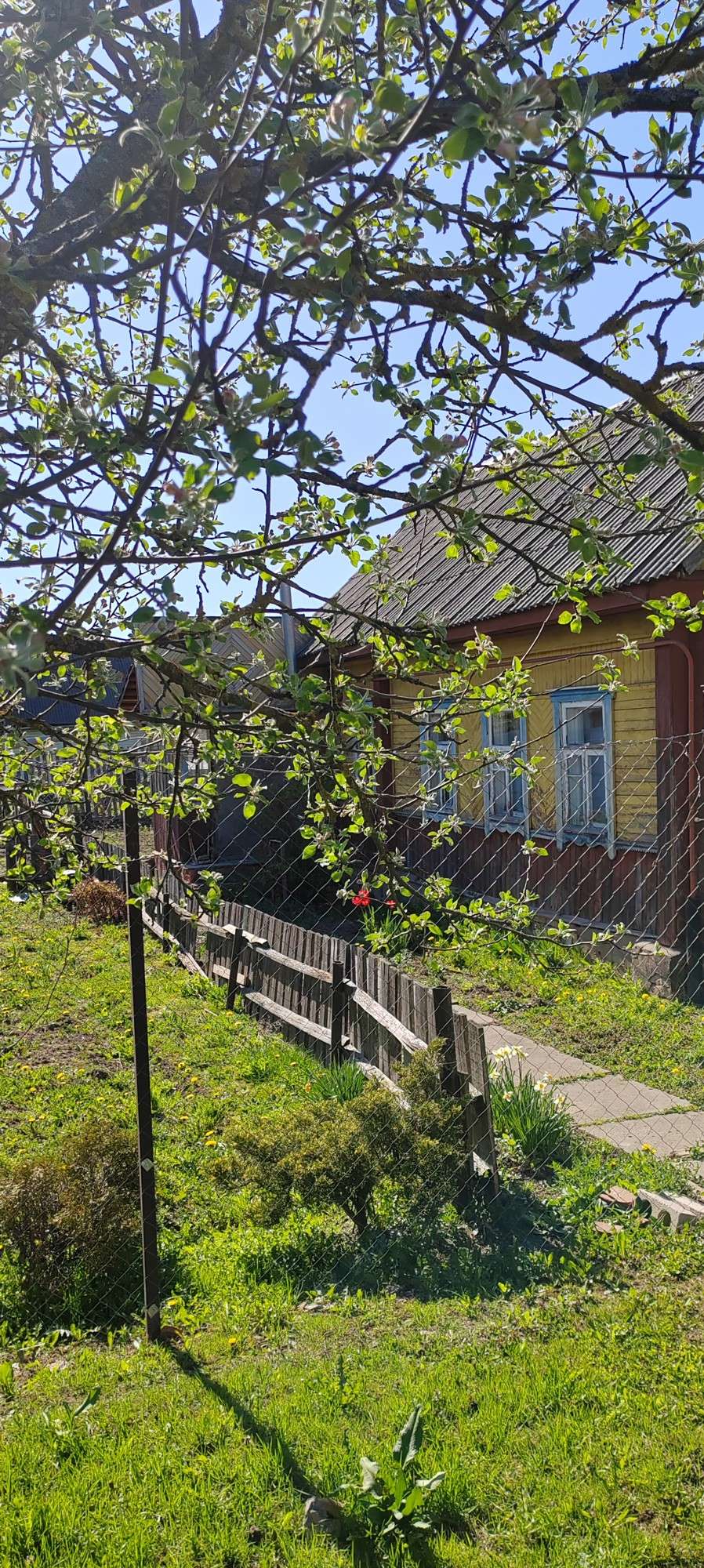 Дом   по адресу Могилёв, Ватутина