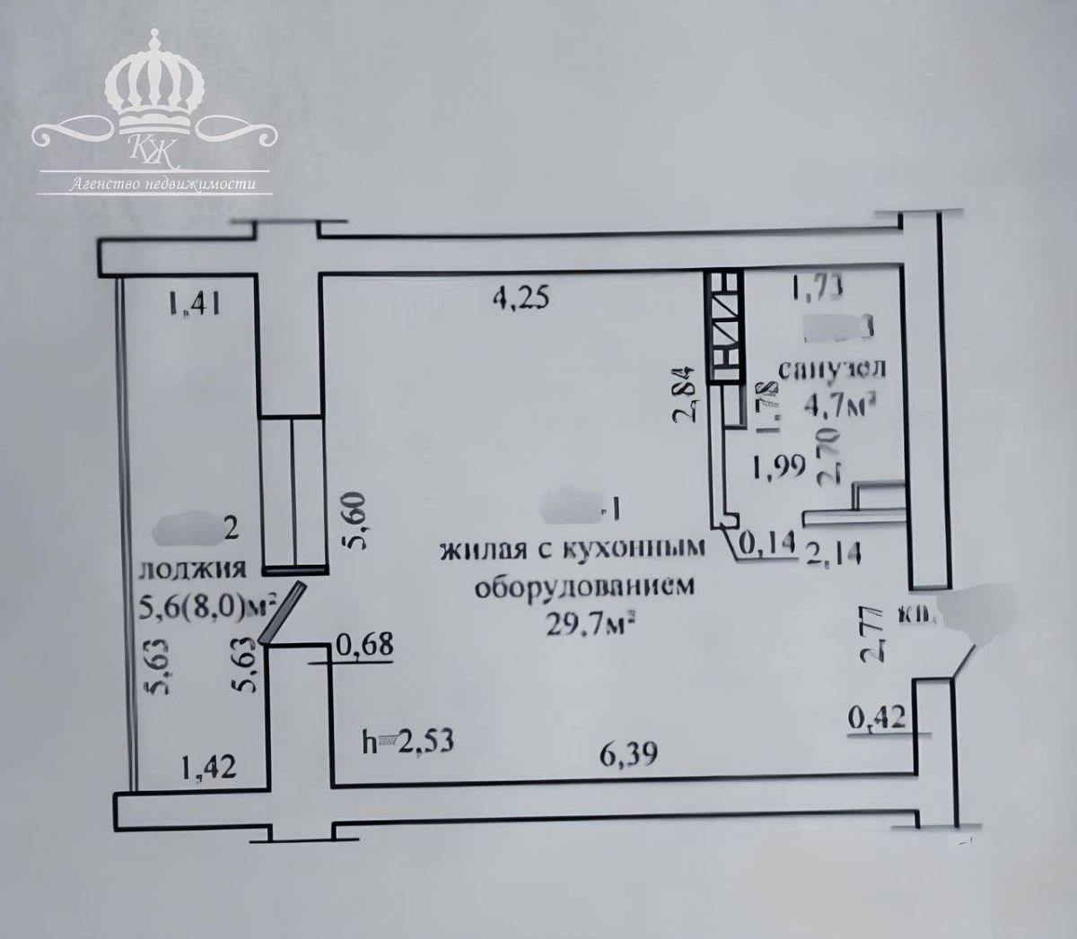 1 комнатная квартира  по адресу Могилёв, Грюнвальдская, 23