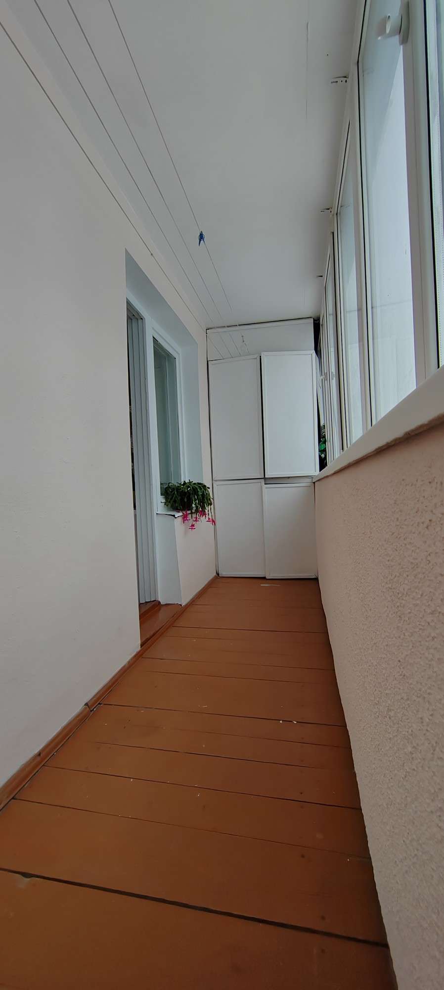 3 комнатная квартира  по адресу Могилёв, Заслонова, 25