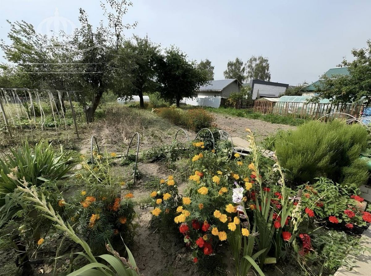 Дом   по адресу Могилёв, Улица Тишовская