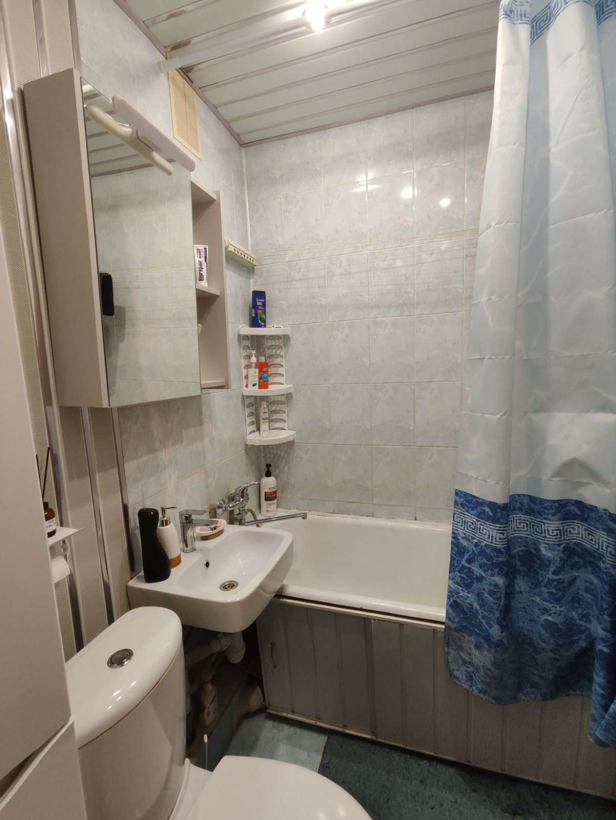 1 комнатная квартира  по адресу Могилёв, Орловского, 6